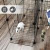 imageSONGMICS 36 Panels Pet Playpen Small Animal Playpen Rabbit Guinea Pig Cage Zip Ties Included Metal Wire ApartmentStyle TwoStory Pet Premium Villa for Bunnies Puppies Indoor Use White ULPI02WBlack