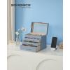 imageSONGMICS Jewelry Box Organizer with Glass Lid 3Layer Jewelry Storage with 2 Drawers Modern Style Gift for Mom 8 x 91 x 53 Inches Cloud White and Gold Color UJBC239WTSmoky Blue  Gold