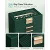 imageSONGMICS Jewelry Box Organizer with Glass Lid 3Layer Jewelry Storage with 2 Drawers Modern Style Gift for Mom 8 x 91 x 53 Inches Cloud White and Gold Color UJBC239WTForest Green  Gold