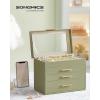 imageSONGMICS Jewelry Box Organizer with Glass Lid 3Layer Jewelry Storage with 2 Drawers Modern Style Gift for Mom 8 x 91 x 53 Inches Cloud White and Gold Color UJBC239WTLaurel Green  Gold