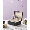 imageSONGMICS 2Layer Jewelry Box Jewelry Organizer with Handle Removable Jewelry Tray Jewelry Storage Floating Effect 81 x 94 x 43 Inches Gift for Mom Gift Idea Jelly Pink UJBC165R01Black
