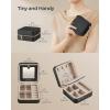 imageSONGMICS Jewelry Box Travel Jewelry Case 2Layer Jewelry Holder Organizer Portable Versatile Earring Storage for Larger Accessories Retro Green UJBC166C04Ink Black