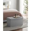imageSONGMICS MAZIE Collection  43 Inches Storage Ottoman Foldable Storage Bench with Flipping Lid 660 lb Load Capacity for Entryway Living Room Bedroom Dark Gray ULSF76GYZAsh Gray
