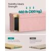 imageSONGMICS Storage Ottoman Bench Folding Storage Chest 15 x 30 x 152 Inches Foot Rest Stool 20 Gal 77 L Velvet Surface for Bedroom Entryway Living Room Cappuccino Beige ULSF0517W02Jelly Pink